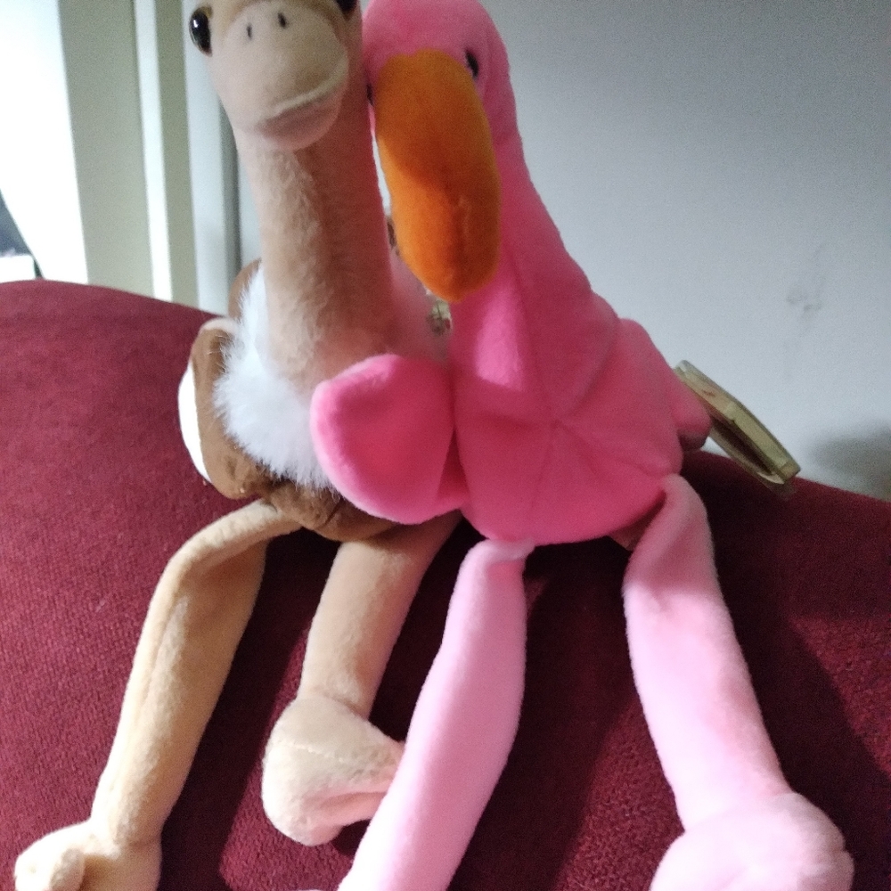 Stretch the Ostrich and Pinky the Flamingo